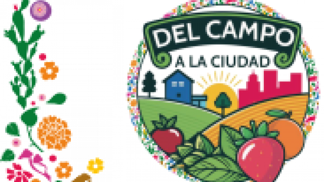 Del Campo a la Ciudad
